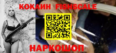 крисы Шелехов