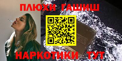 крисы Шелехов